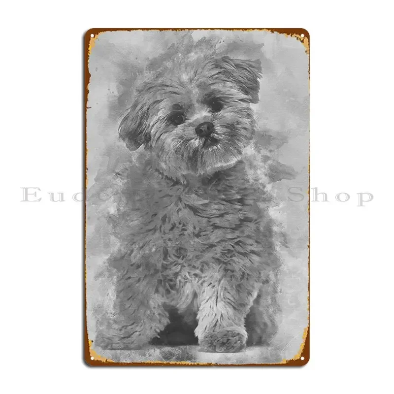 Lhasa Apso Dog 8 Mo…