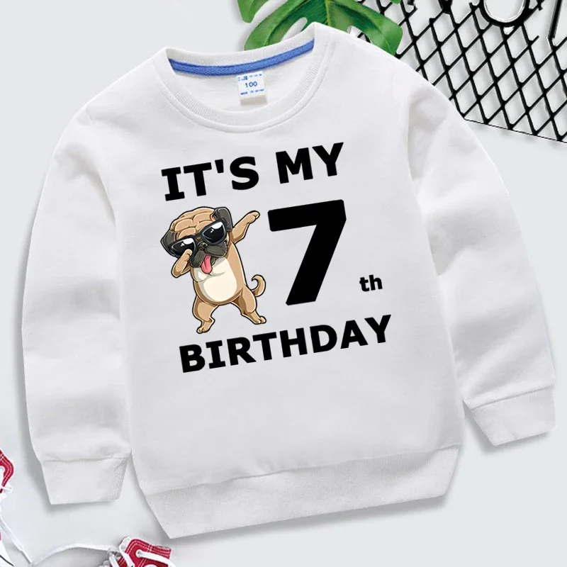 Cartoon Dogs Kid Sweatshirts Birthday Number 1-10 Children Pullover Happy Birthday Boy Girl Hoodie Casual Clothes Baby Tops