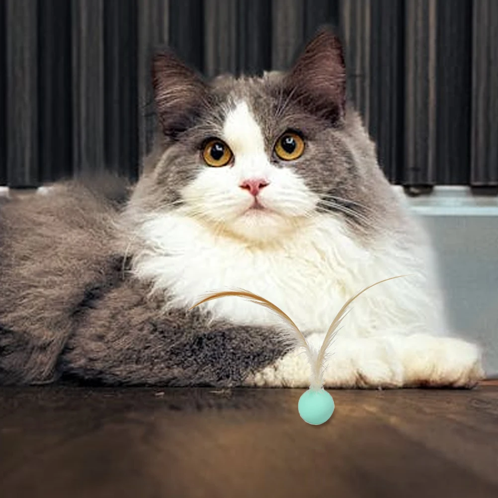

9pcs Elastic Ball Cat Interactive Pet Playthings Durable Bouncy Indoor Outdoor Household Teaser Balls Mental Stimulation
