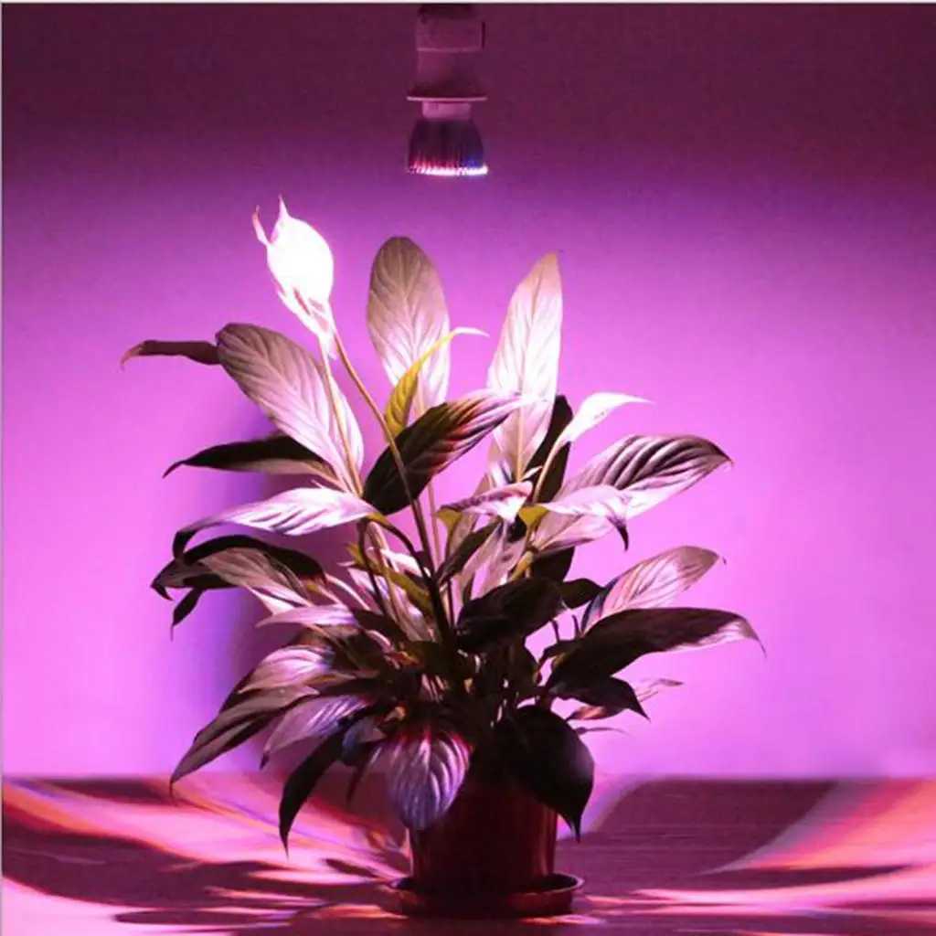 Plant Grow Light Bulb E27 LED Full Spectrum Seed Starter Lamp for Indoor Plants Greenhouse Flowers Vegetables Growth