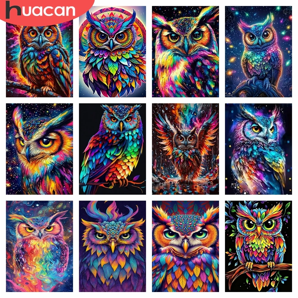 HUACAN 5D DIY Diamant-Mosaik-Set Eule Tier Bunte Heimdekoration Strass-Bilder Handarbeiten Diamantmalerei Sternenhimmel