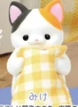 calico cat