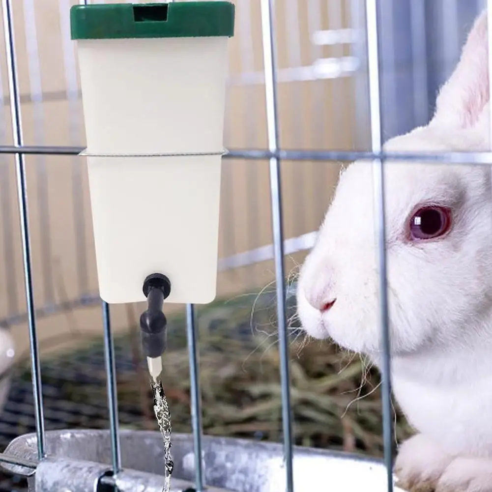 Thumbnail 3 - #12 Hamster Water Bottle Feeders Comparison Guide