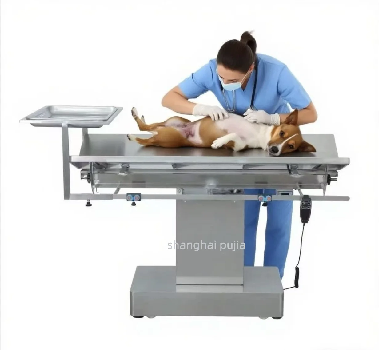 Mesa veterinaria Pujia PJS-05 V Mesa de operación superior para animales con calentador de calefacción Mesa de instrumentos de cirugía de acero inoxidable