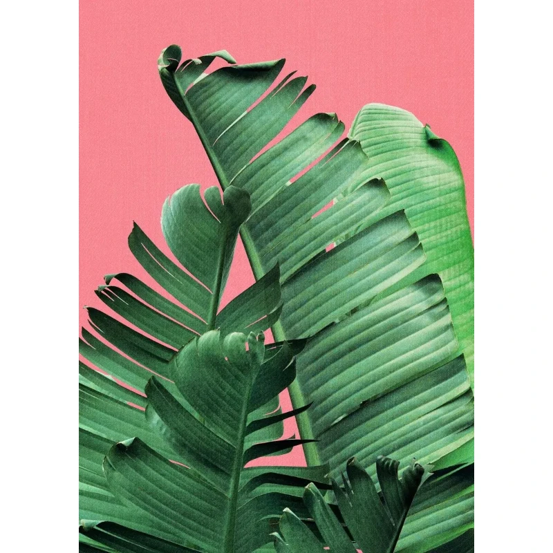 2026 Tropical Plants Poster and Print Toucan Bird Flamingo Parrot Pineapple Canvas Painting Nordic Wall Art Picture Home Decor