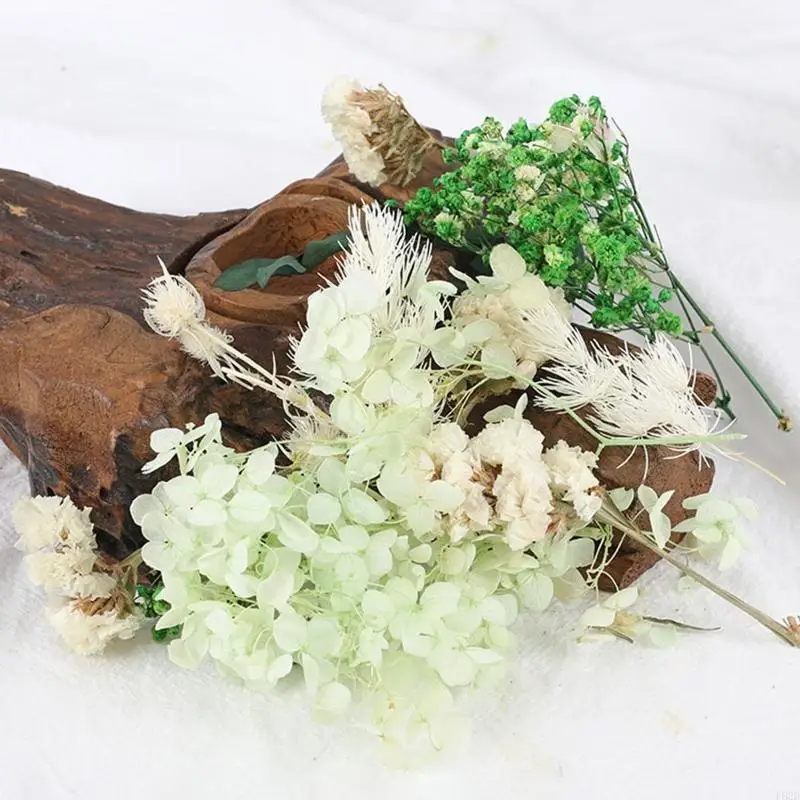 F62D delicate gedroogde bloemen materiaal natuurlijke handwerk bruiloft ornament 10colors