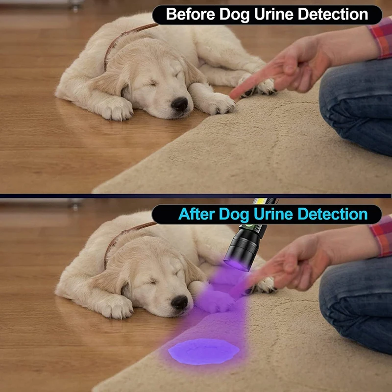 UV Flashlight Purple Light,Super Bright Small Rechargeable Waterproof Magnetic LED Flashlight,Pocket Flash Light