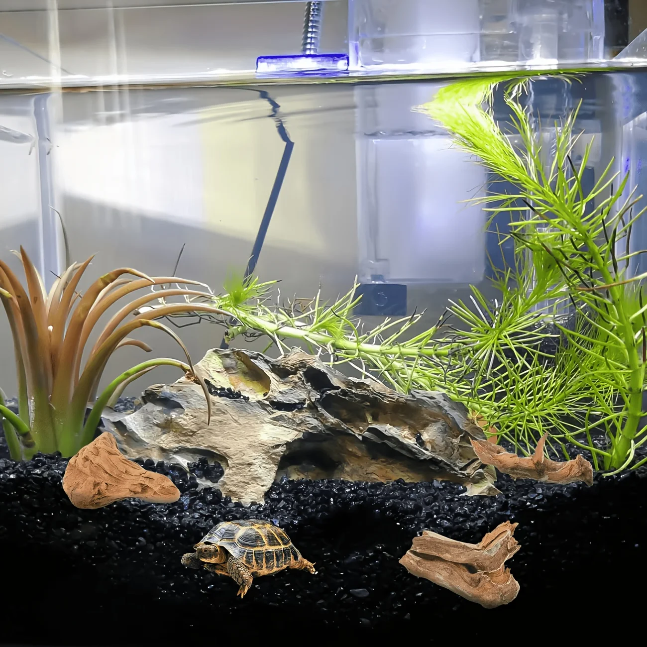 8 Stück (5,01–10,02 cm) Aquarium-Landschaftsgestaltungswerkzeug, für Fischbecken, Reptilienbecken und Terrarien, kleines Treibholz für Aquarien zum Klettern – Detail 6