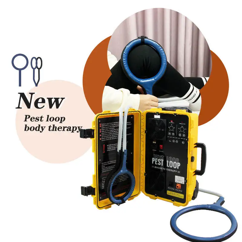 Physiotherapy Magnetotherapy PMST LOOP Pemf Equine Machine Rehabilitation Physical Therapy Equipment Sclaping Apparatus