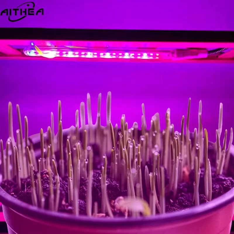 AITHEA Flexible Hose Indoor Greenhouse Phyto USB Lamp 5V LED Full Spectrum Grow Light for Succulent  Seeding Hydroponic Lighting