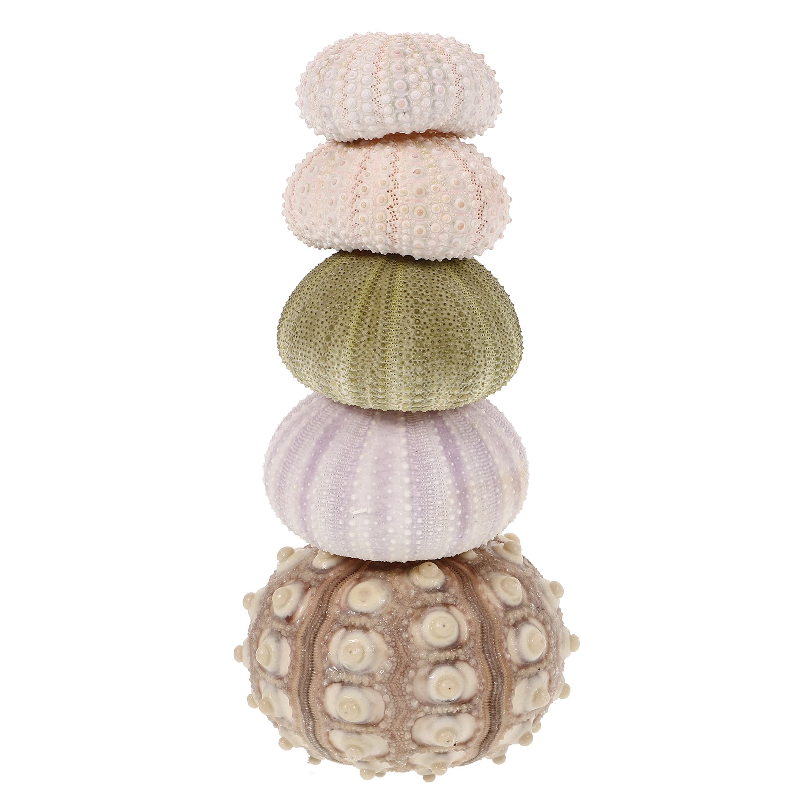 

5 Pcs Sea Shells Specimen Planters Air Plants Tabletop Decor Aquarium Landscape Fish Tank Decors Succulent Pots