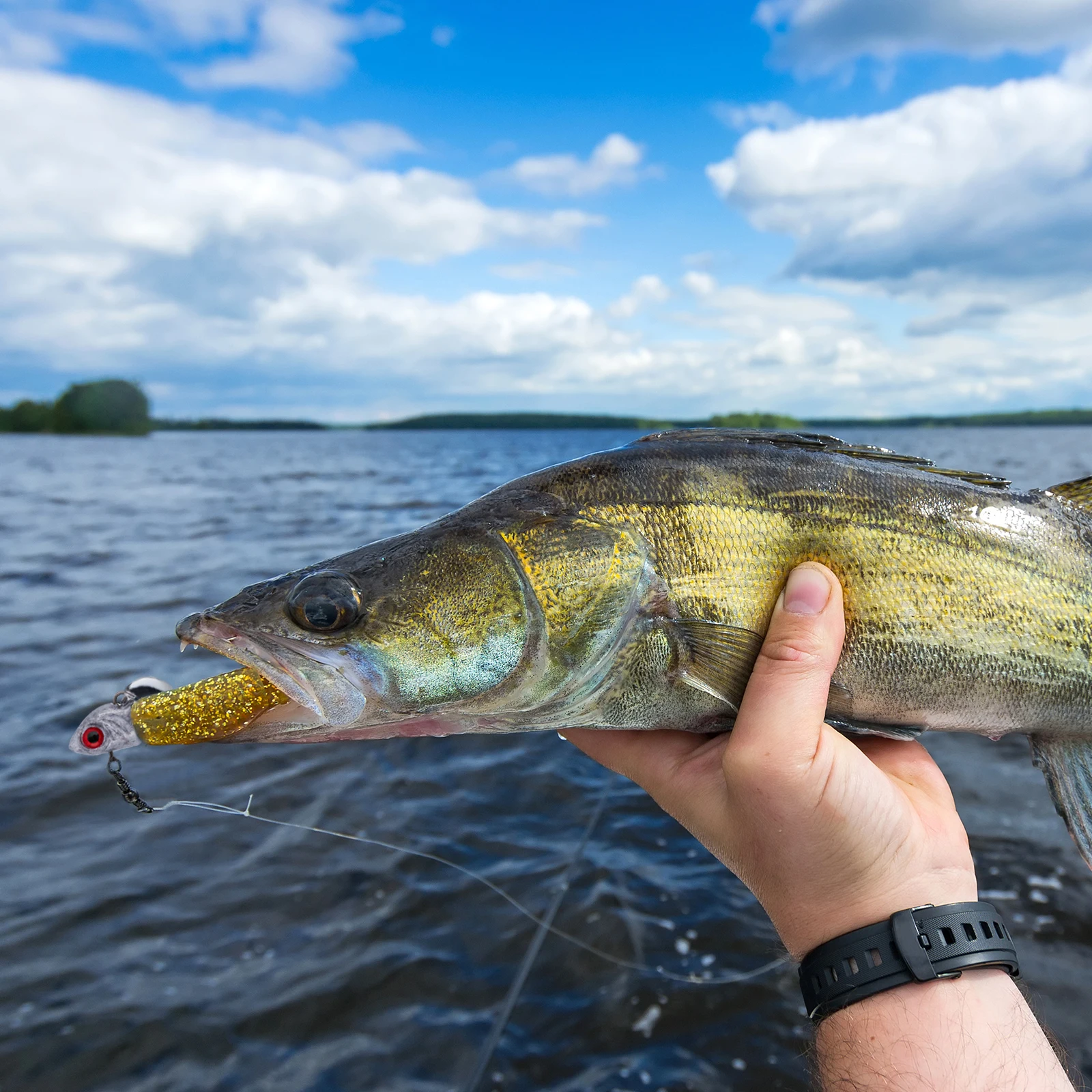 Goture Anzuelos Jig Head Cabeza de Pez – Vinilo agua dulce y salada - imagen 5
