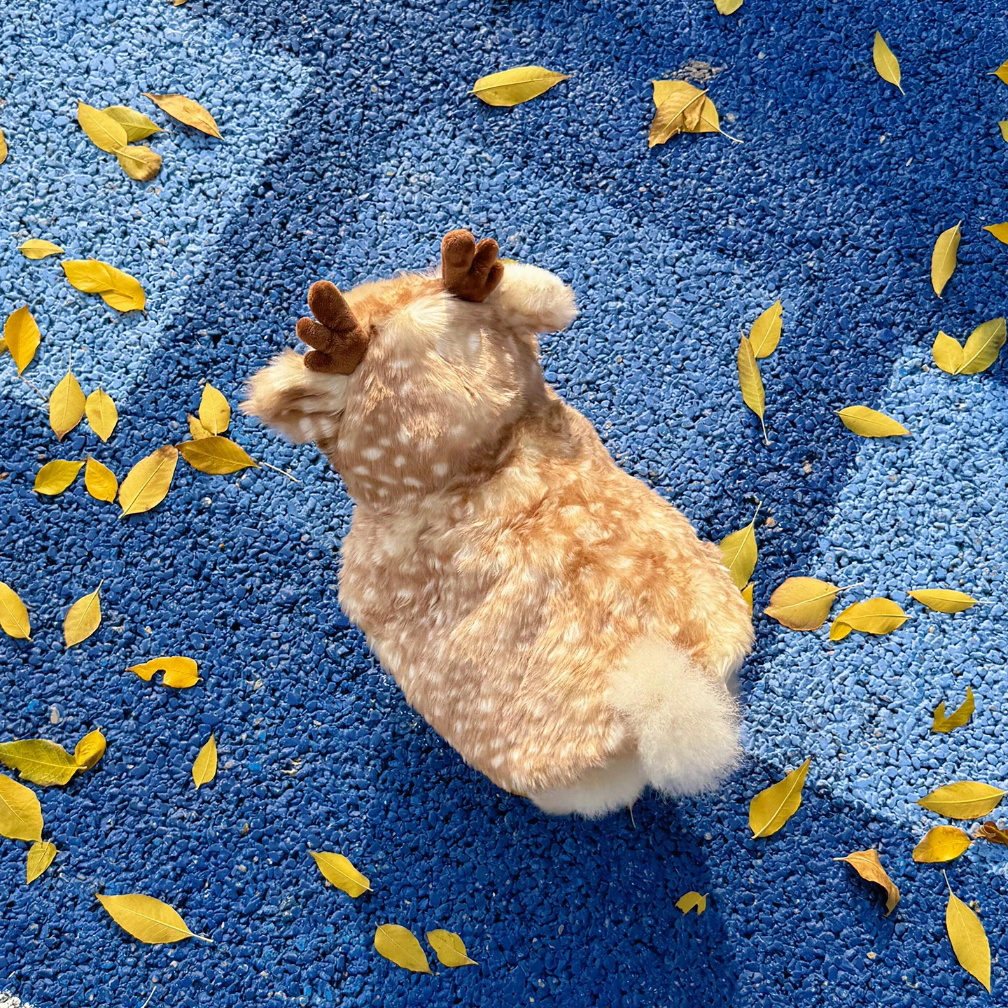 

Рождественская одежда для домашних животных, накидка с изображением кошки, собаки, лося, накидка для маленьких собак, bifon, Тедди, зимняя одежда, реквизит для фотосессии