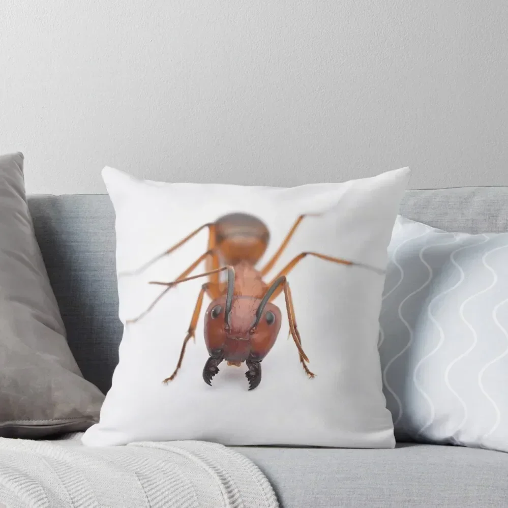 

Camponotus conspicuus Throw Pillow Christmas Pillow Covers Couch Pillows autumn decoration pillow