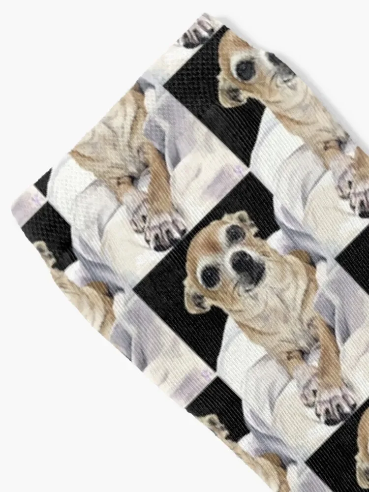 Chihuahua - Digital w/ background Socks Rugby Crossfit funny gifts Socks For Men Women's