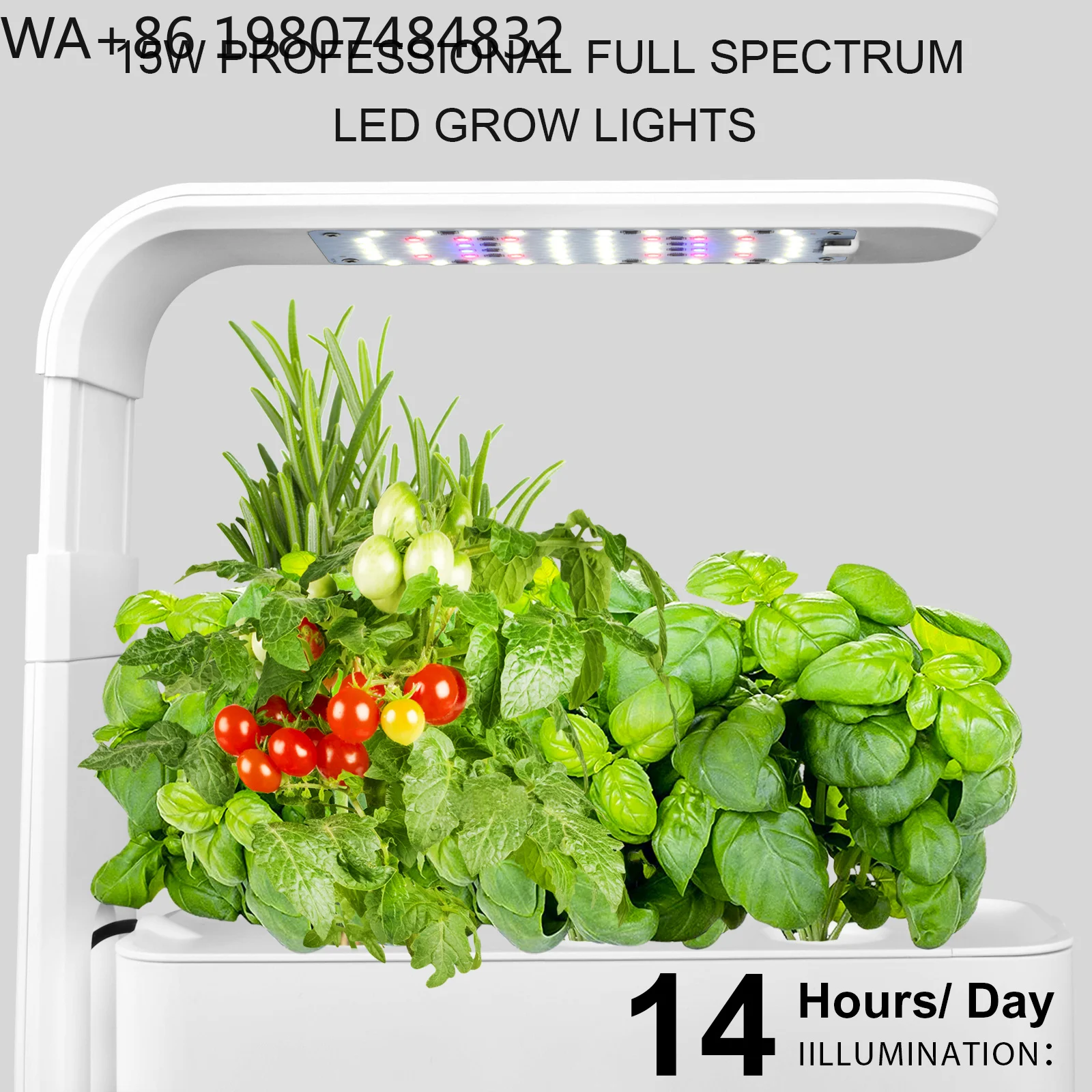 Minimalistischer Kräuter-Anzuc – Led Grow Light Bewertung und Preis
