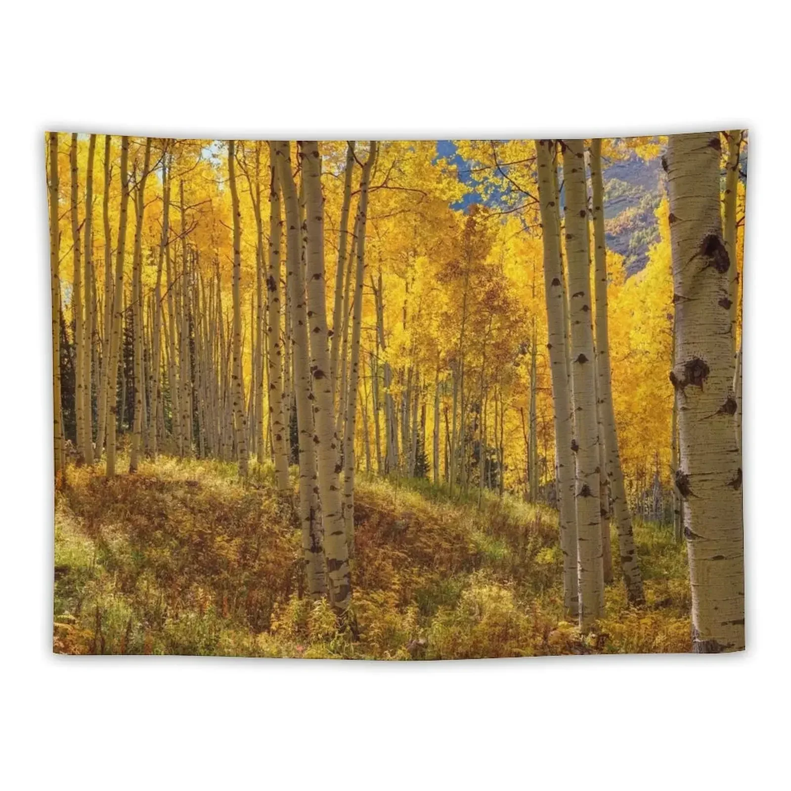 Autumn Aspen Forest Aspen Colorado Panorama Tapestry House Decoration Room Design Tapestry