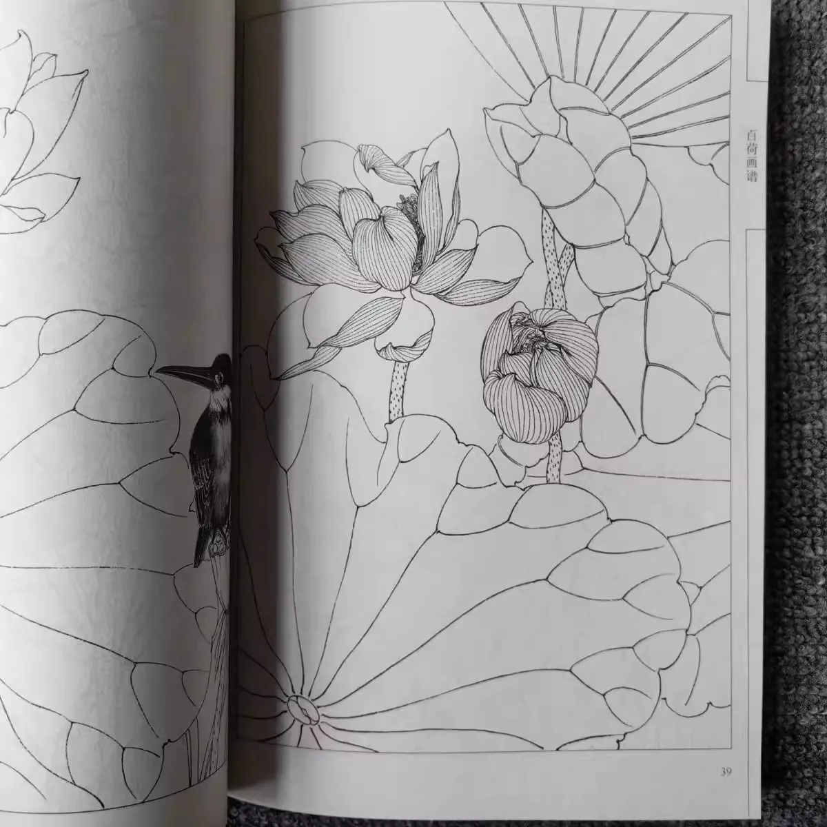 The Chinese Painting Flowers Lotus Flower Line Drawing Collection Art Book Adult Coloring Book Relaxation and Anti-Stress Book