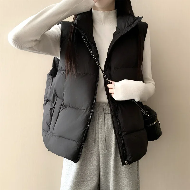 

Осенне-зимний новый простой жилет с коротким воротником-стойкой, модная хлопковая куртка на пуху для женщин