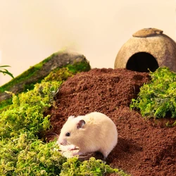 Hamster Coconut Soil Cushion Material Cage