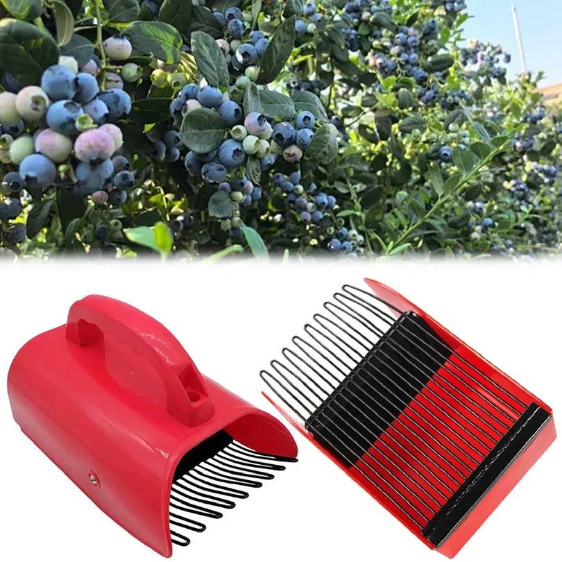 Berry Picker Comb Rake,Plastic Blueberry Picker Scoop Fruit Picker Tool,Blueberry Rake Scoop,Handheld Berry Harvester Tool
