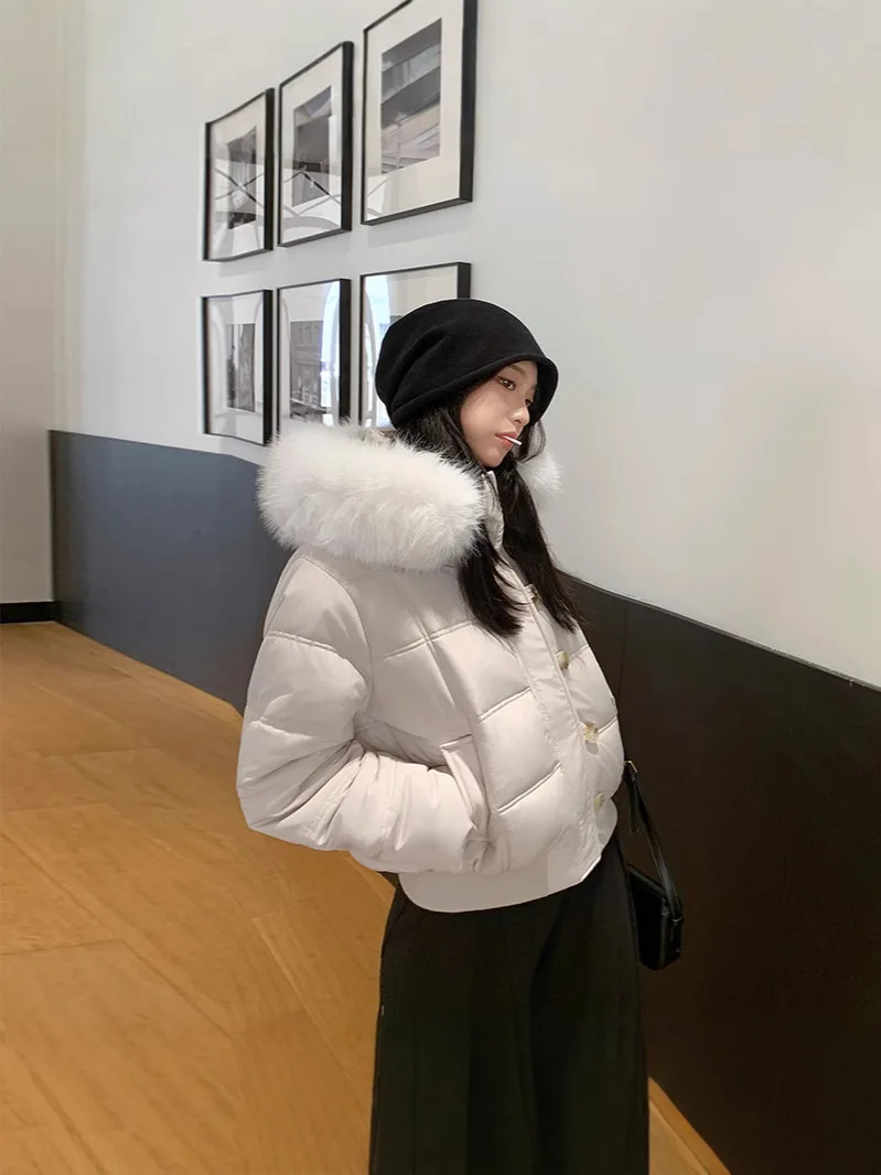 

Женские пуховые парки с мехом: комфорт и уют для дома, внутренняя просторная и уютная обстановка, удобное убежище, нейтральный дизайн.