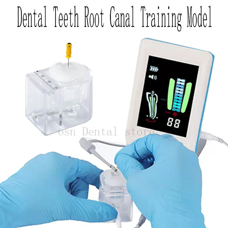 Endo Training Simulation Oral Dental Root Canal Treatment Oral Root Canal Exercise Model Dental Treatment Practice Study