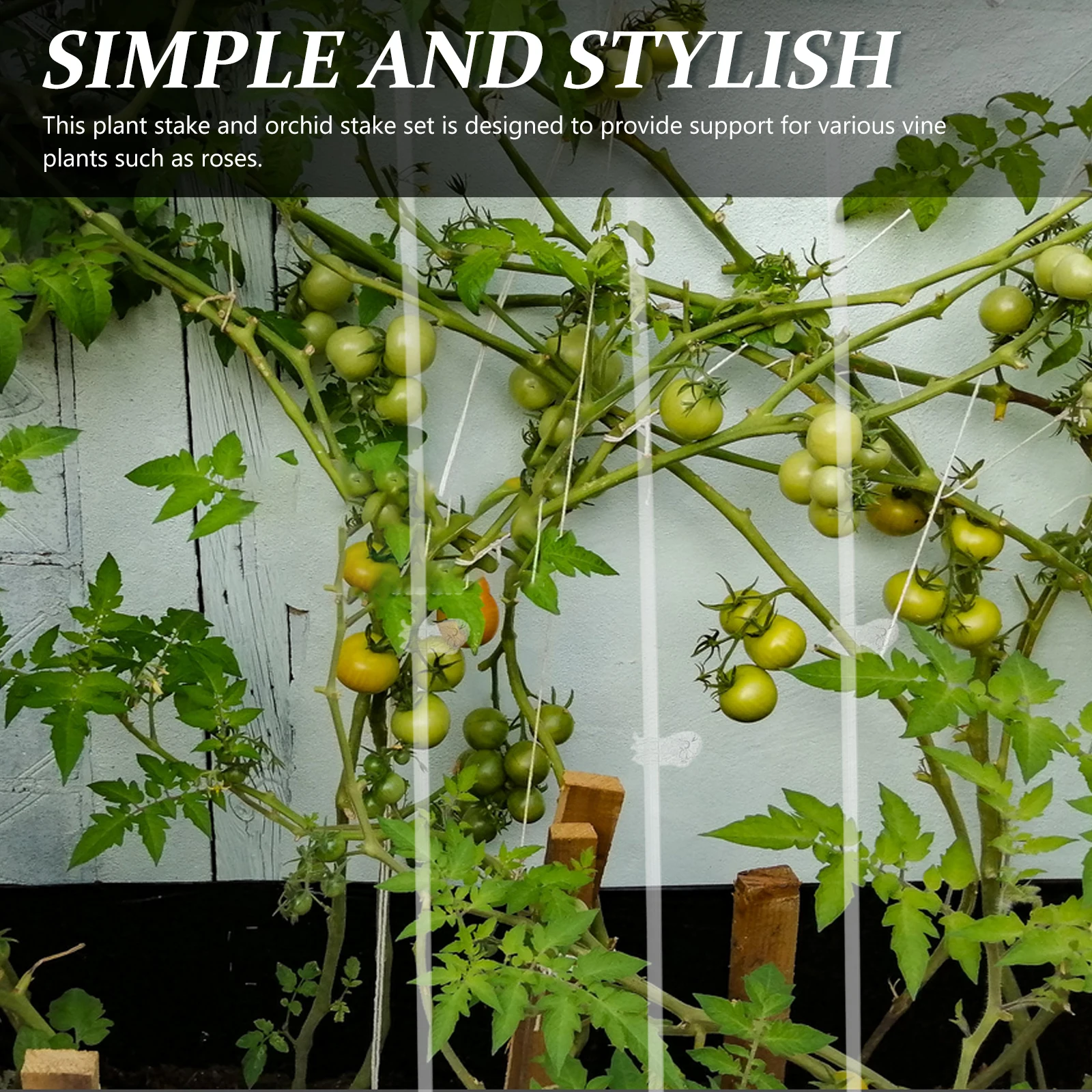 

1 Set Acrylic Plant Stakes Support For Garden Orchid Rose Stem Transparent Potted Bracket Climbing Scaffold Flower Frame Garden