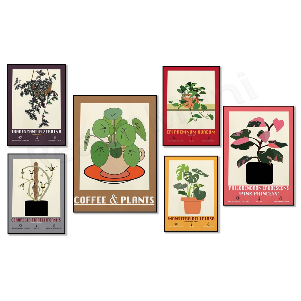 Alocasia Polly/Planta Oreja de Elefante, Tricolor de Hoja Perenne China, Kumquat, Planta Rara de la Serpiente de la Selva, Póster de Planta Verde, Planta de Interior