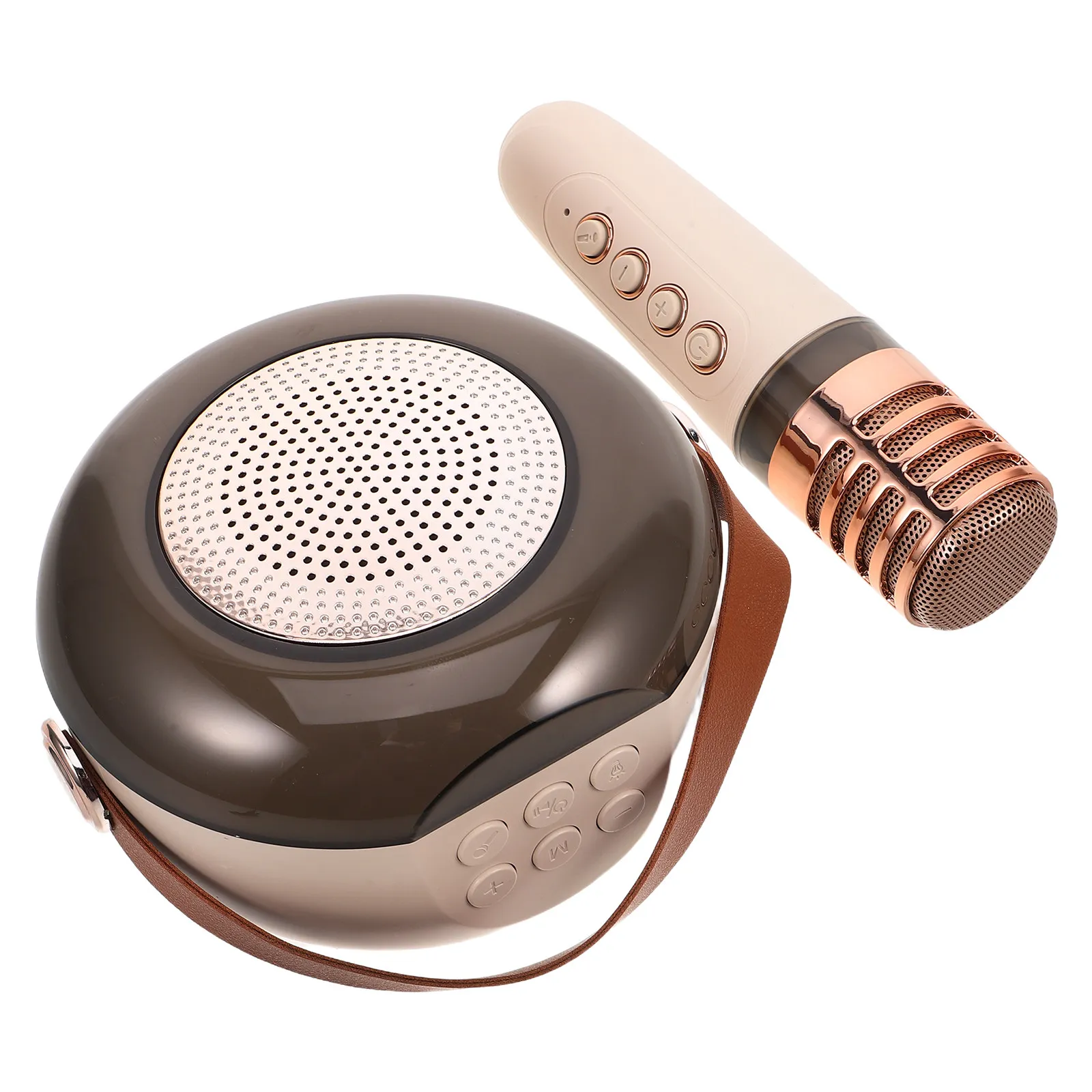 

Портативная беспроводная караоке-система с микрофоном и динамиком для улицы, для семейного отдыха, кемпинга, вечеринок, мини-караоке-колонка для взрослых