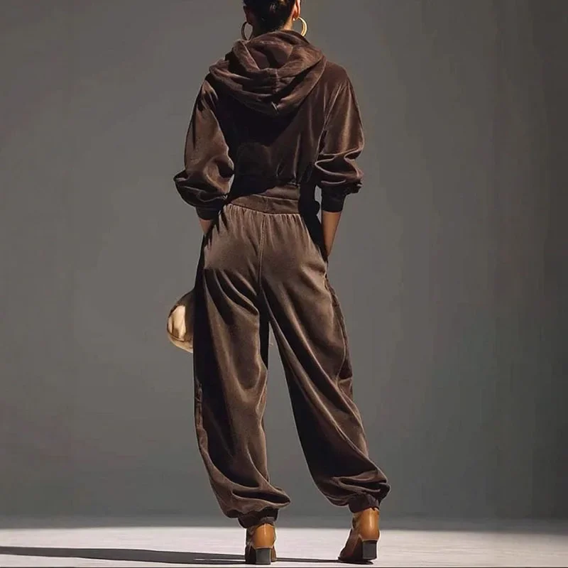 الخريف الشتاء الصلبة لينة المخملية هوديي البلوز مجموعة المرأة موضة كم طويل مقنع بلوزات وبانت مجموعات عادية 2 قطعة الزي البدلة