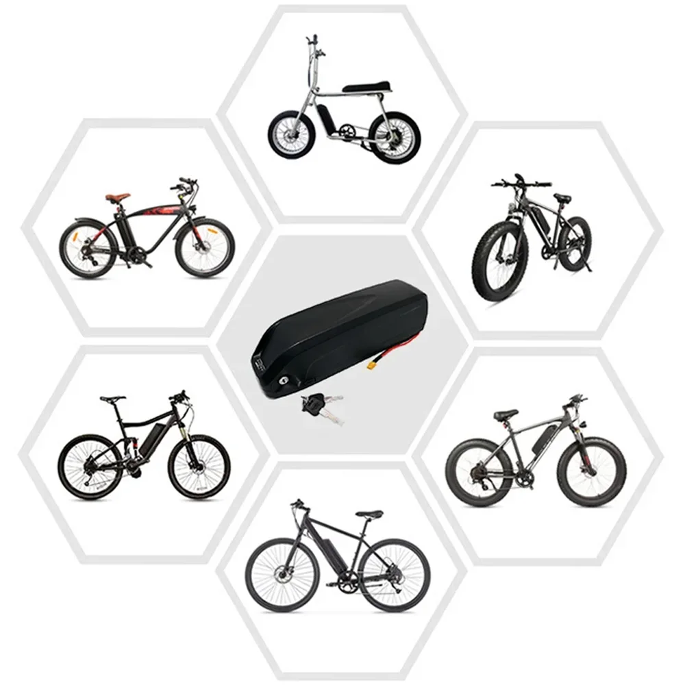 Original 48v 36v 52v 20ah hailong ebike batterie 40ah bms für 350w 500w 750w 1000w motor und zollfreies geschenk ladegerät