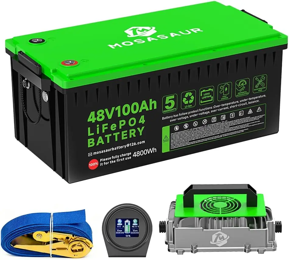 

48V 100Ah LiFePO4 Golf Cart Battery, 10.24kW Peak Power & 4000+ Cycles, Built-in 200A BMS | with 48V 18A Lithium Battery Charger