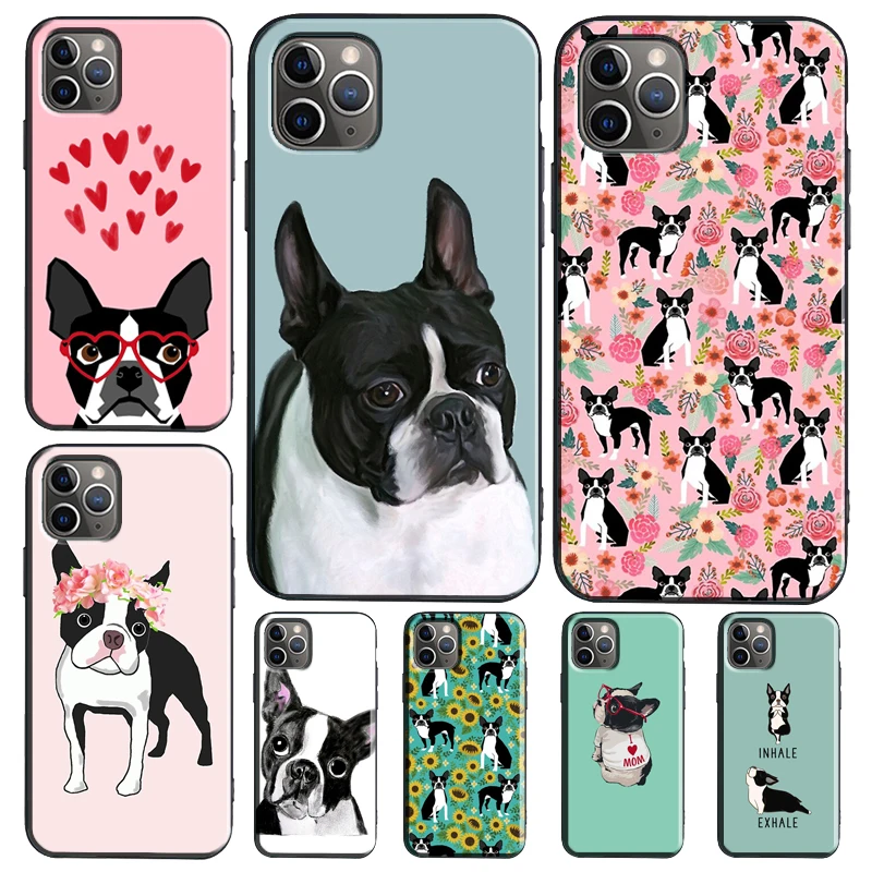 Boston Terrier Dog … - image