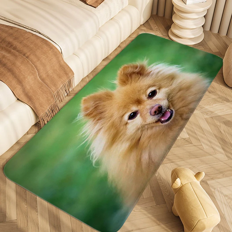 

Pomeranian Dog Carpet for Bedroom Toilet Entryway Living Room Kitchen Rugs Soft Bathmat Mat for Hallway Modern Home Decoration