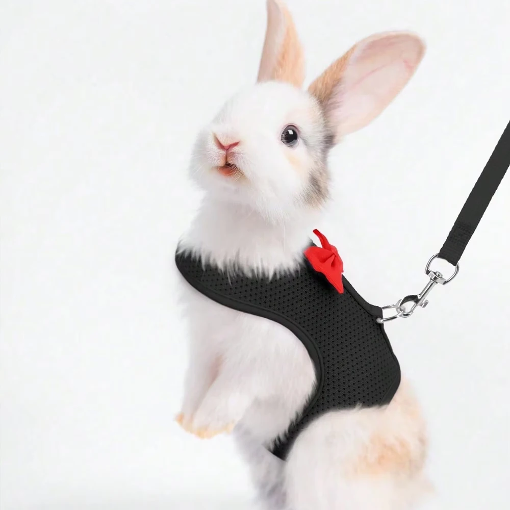 1 verstellbares Kaninchengeschirr mit Leine, atmungsaktive Netzweste und Leine für Kaninchen, Hamster und Katzen, geeignet für den Außengebrauch mit kleinen Tieren. – Detail 5