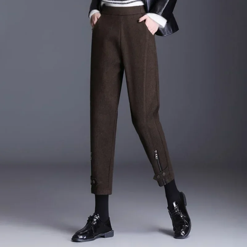 Office Lady Fashion Wool Zipper Pencil Pants Autumn Winter Korean Women Slim Thicken Versatile Elastic Waist Solid Warm Trousers