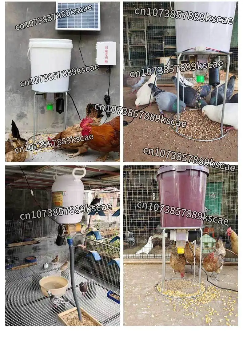 Solar Automatic Poultry Feeder Chicken Duck Pigeon, Timed Dispenser With Remote Control For Farming & Homestead