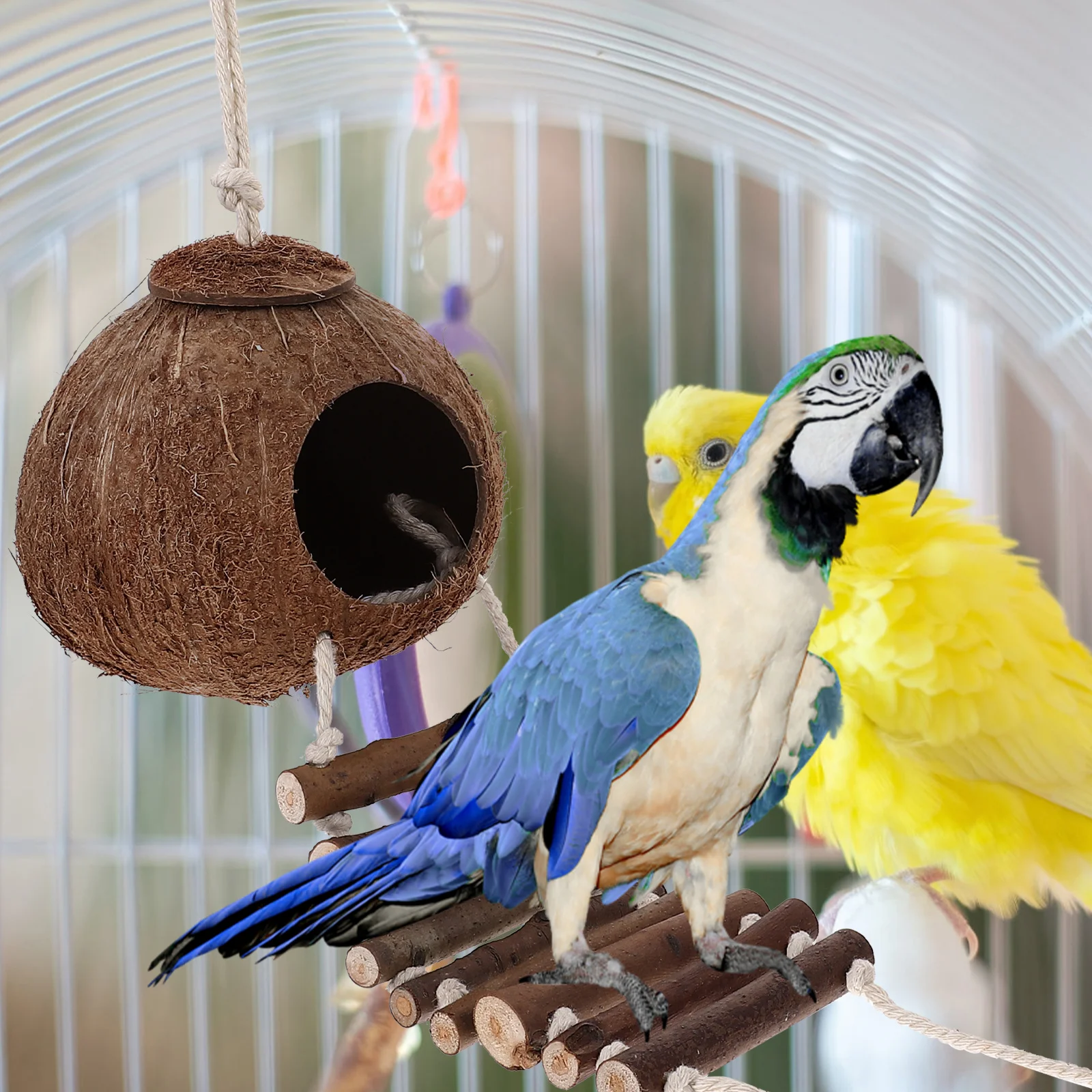 Hermit Crab Cave Ha…