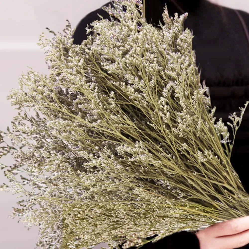 100g konservierter natürlicher Limonium strauß, frischer See lavendel, Baby-Atem blumen für Hochzeits geburtstag, Wohnkultur, Geschenk für Mutter