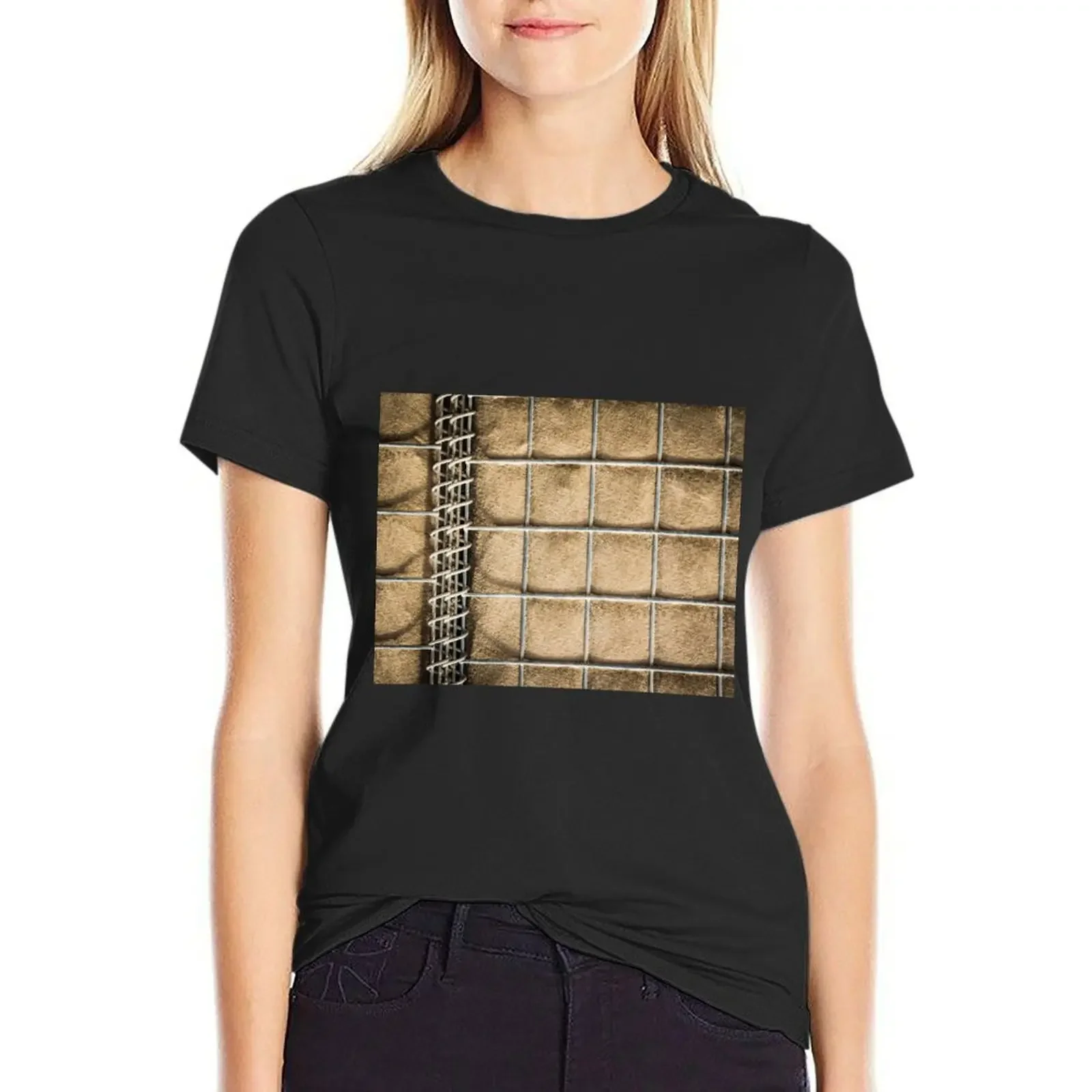 

Hesco Barrier T-Shirt sublime sweat vintage female Womens clothing