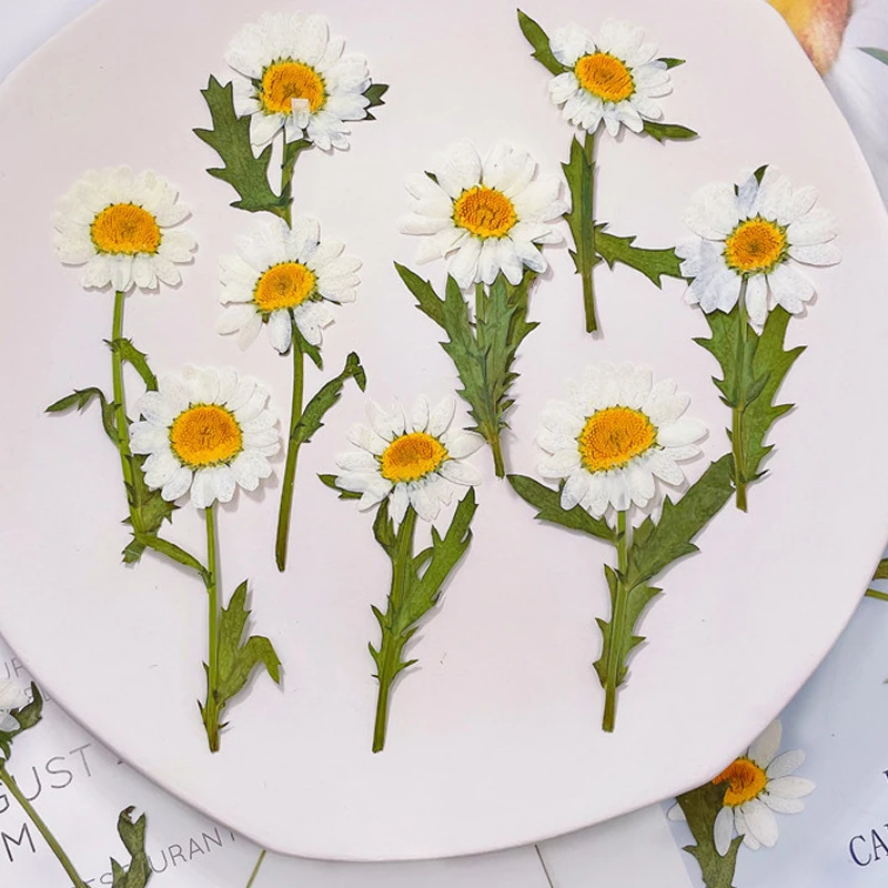 1000 Uds embalaje a granel Margarita blanca con tallos flor para pegatina lámpara de mesa decoración al por mayor