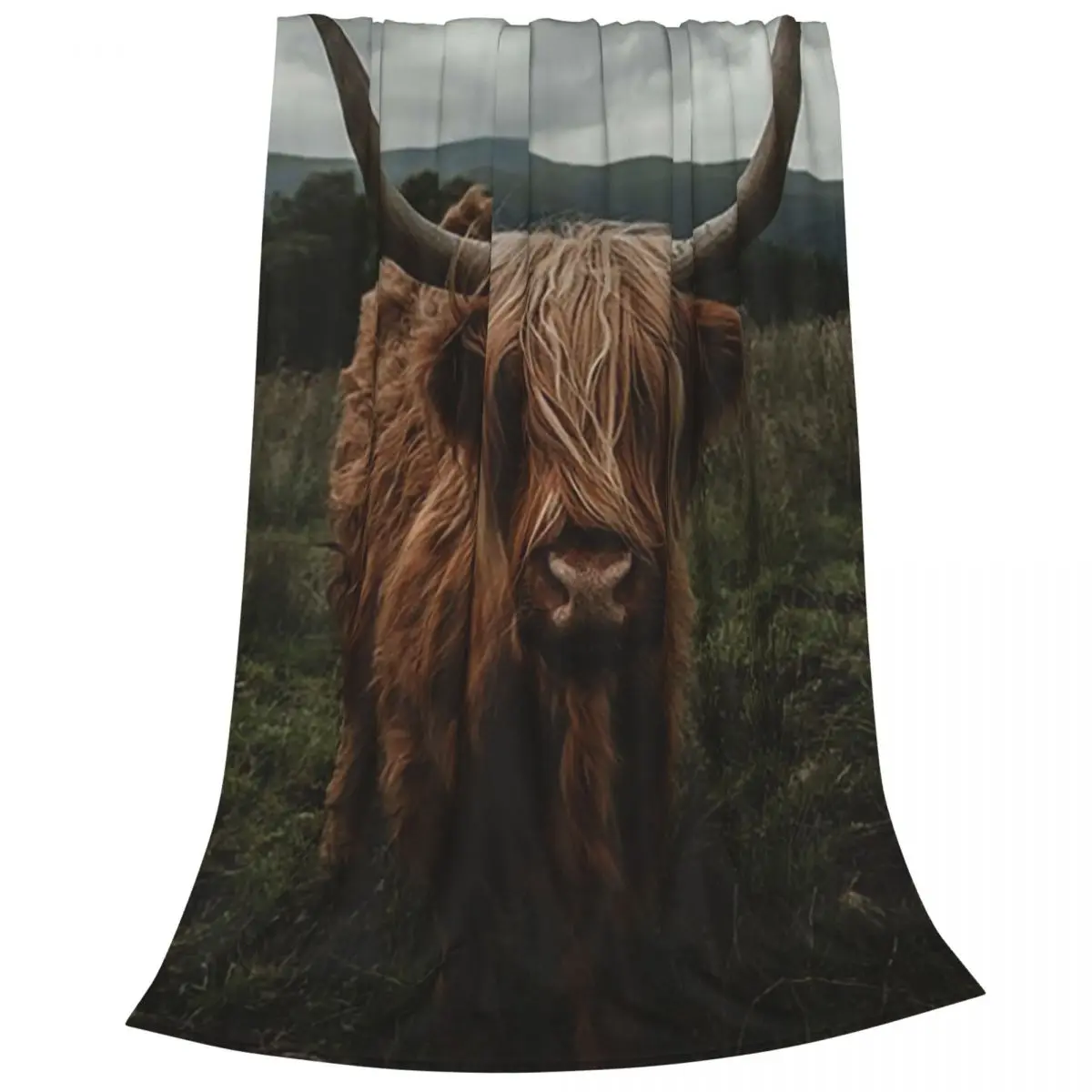 Scottish Highland Cattle Blankets Fleece Breathable Sofa Throw Blankets For Home Bedroom Outdoor Throws Bedspread Quilt