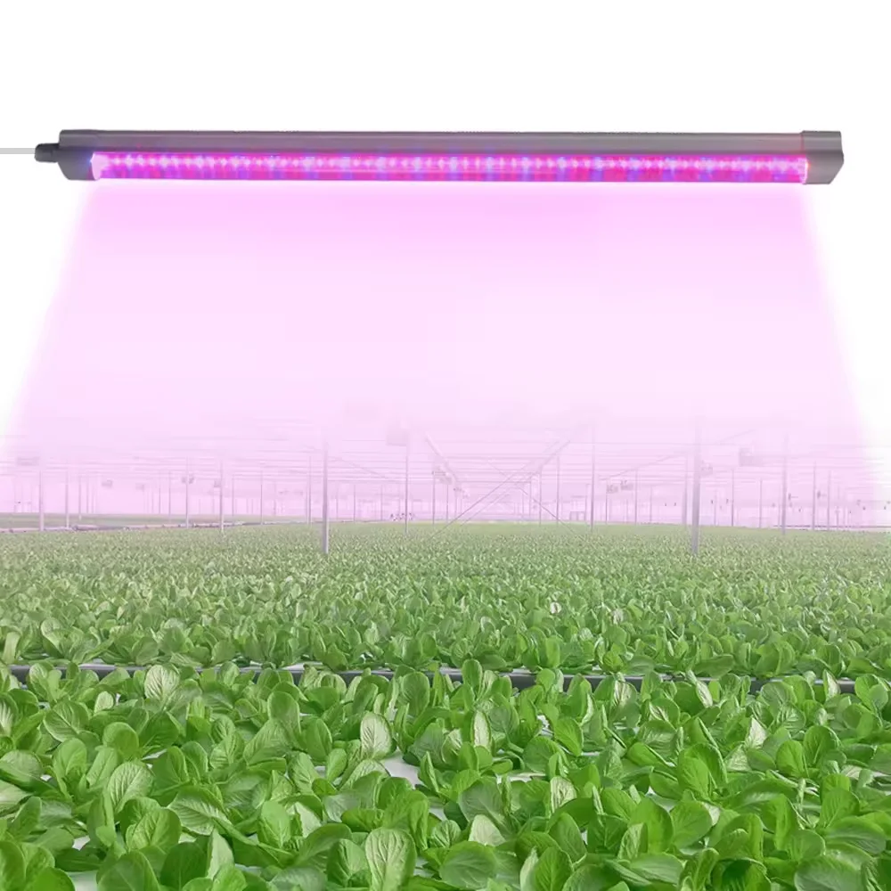 Full Spectrum Light Emitting Diode Grow Light T8 T5 Tube Stick 60Cm 90Cm 120Cm Plant Zaailing Kas Indoor Plant Lights