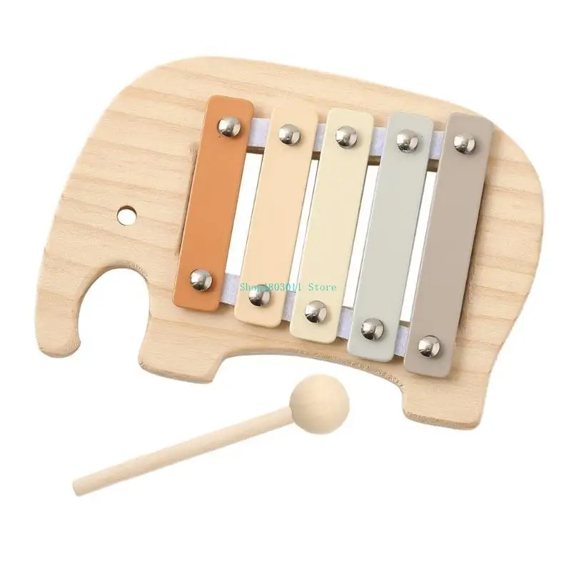 

T3LD 5 Note Xylophone Musical Toy, Perception Percussion Instrument with 5 Tones