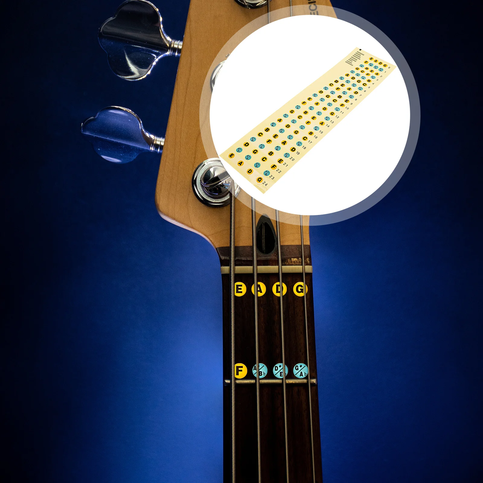 2Pcs Bass Practicing Sticker Adhesive Fretboard Guide for Novices Improved Skill Training Musical Accessory Bass Scale Stickers