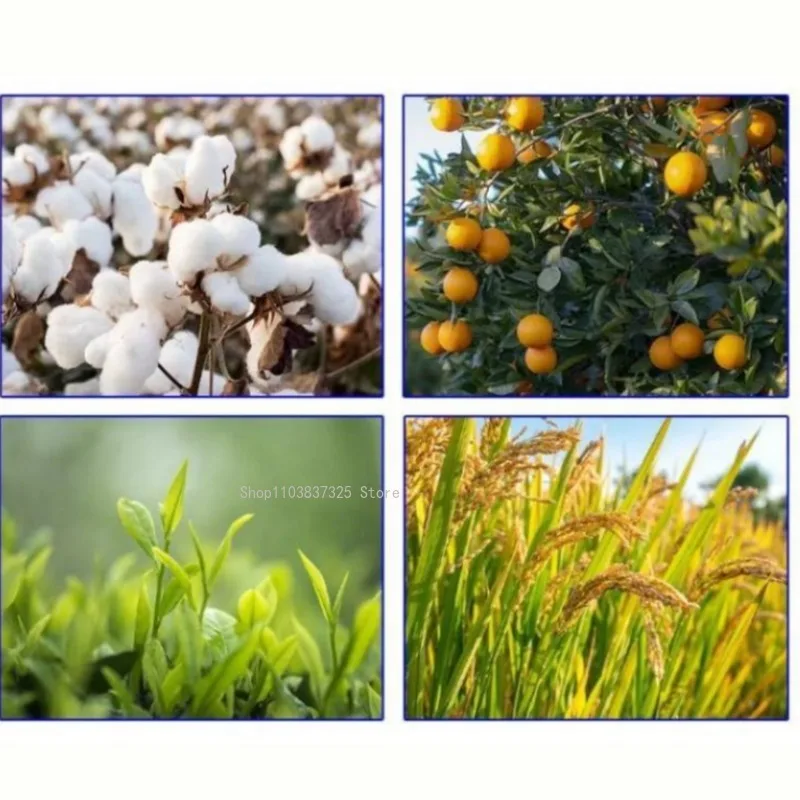 500 جرام مستخلص أعشاب بحرية عضوي عالي النقاء على شكل ورقة سوداء سماد قابل للذوبان في الماء يعزز نمو جذور النبات وتحسين التربة