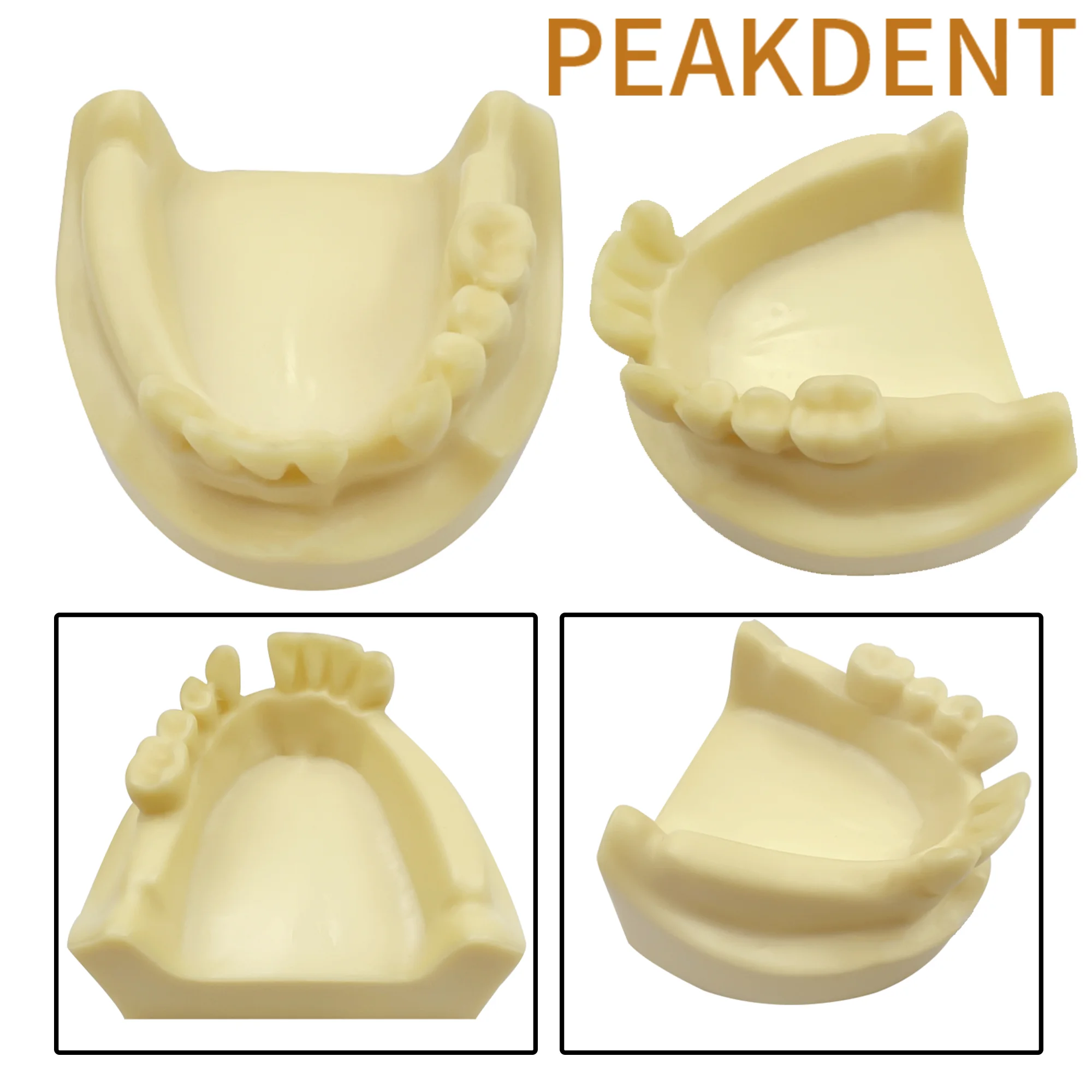 Dental Implant Training Model Lower Jaw Model With Missing Teeth Dental Studying Model Dentistry Education Demonstration