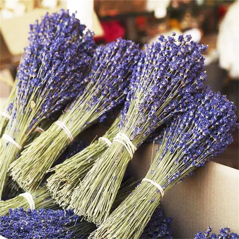 

Natural Real Dried Flower Lavender French Dried Lavender Bouquet For Decoration Home Wedding Decor DIY Candles Mold Epoxy Resin