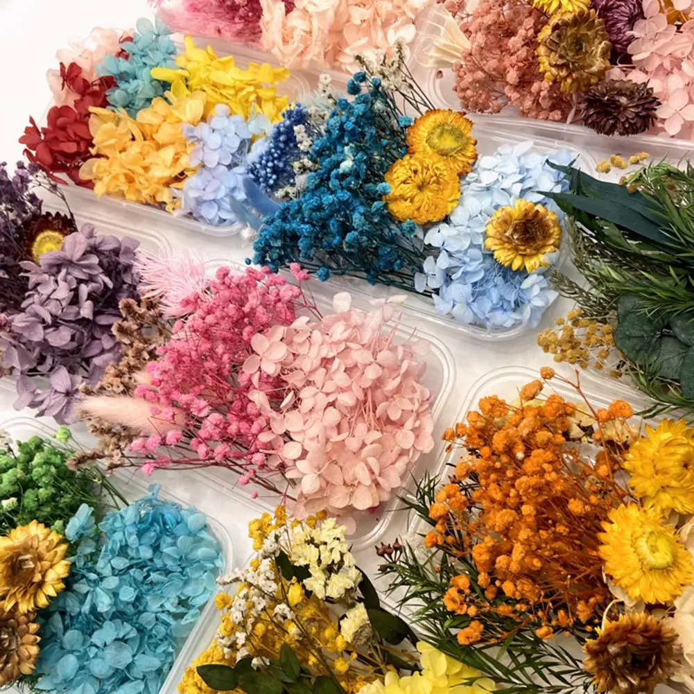 Dried Flower Art Supplies Diy Dried for Handmade Jewelry Nails Crafts Bulk Real Natural Flowers